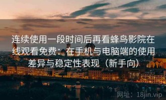 连续使用一段时间后再看蜂鸟影院在线观看免费：在手机与电脑端的使用差异与稳定性表现（新手向）