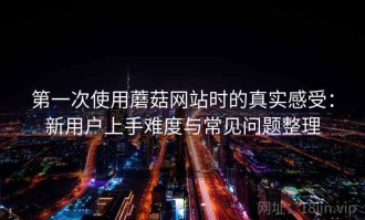 第一次使用蘑菇网站时的真实感受：新用户上手难度与常见问题整理