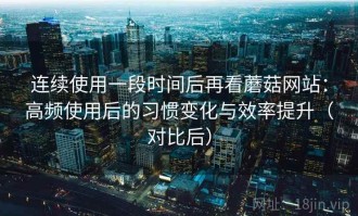 连续使用一段时间后再看蘑菇网站：高频使用后的习惯变化与效率提升（对比后）