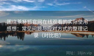 围绕茶杯狐官网在线观看的实际使用感想：常见问题与应对方式的整理记录（对比后）