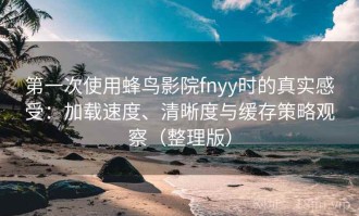 第一次使用蜂鸟影院fnyy时的真实感受：加载速度、清晰度与缓存策略观察（整理版）