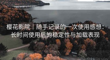 樱花影院｜随手记录的一次使用感想：长时间使用后的稳定性与加载表现