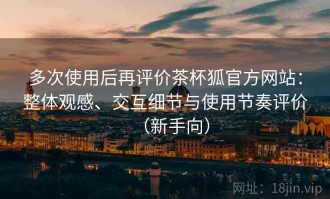 多次使用后再评价茶杯狐官方网站：整体观感、交互细节与使用节奏评价（新手向）