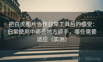 把白虎图片当作日常工具后的感受：日常使用中哪些地方顺手，哪些需要适应（实测）