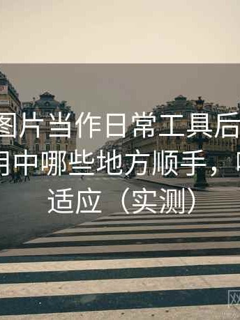 把白虎图片当作日常工具后的感受：日常使用中哪些地方顺手，哪些需要适应（实测）
