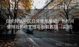 白虎网站一区日常使用笔记：长时间使用后的稳定性与加载表现（实测）