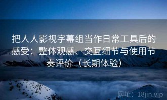 把人人影视字幕组当作日常工具后的感受：整体观感、交互细节与使用节奏评价（长期体验）