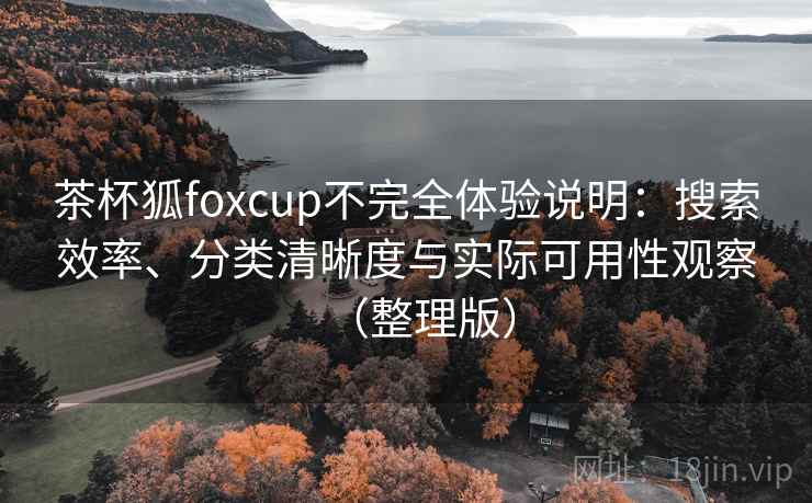 茶杯狐foxcup不完全体验说明：搜索效率、分类清晰度与实际可用性观察（整理版）